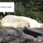 Es ist viel zu heiß