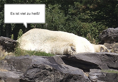 Es ist viel zu heiß