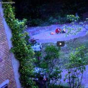 Wilde Spiele in der Sommernacht